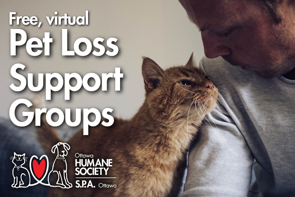 Ottawa Humane Society tweet media