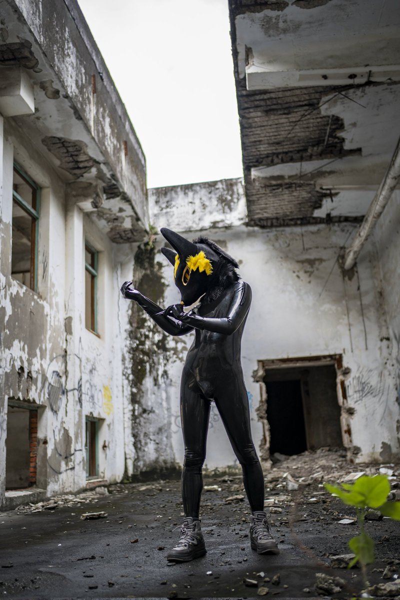 阿努比斯Anubis 🐺 furrydance ~♪ tweet media