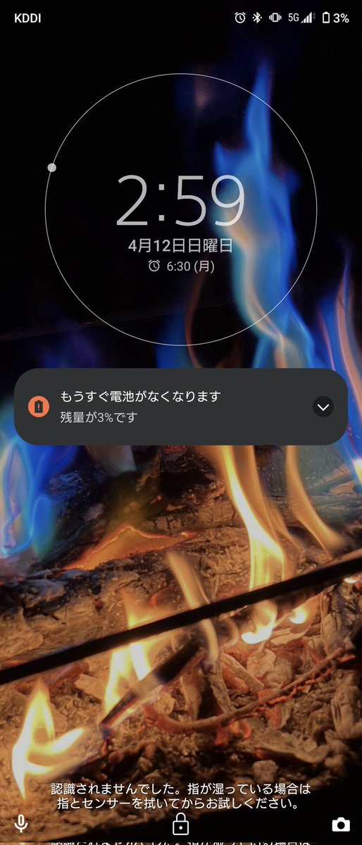 Mini-Craft1121(3歳) tweet media