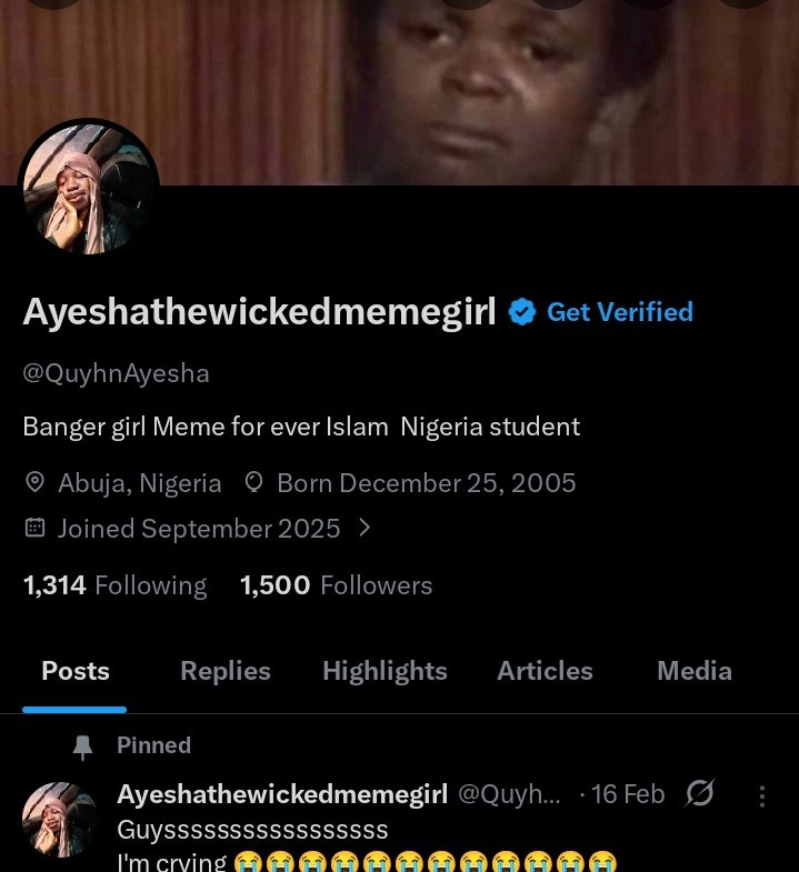 Ayeshathewickedmemegirl tweet media
