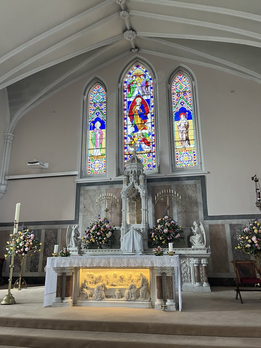 mist🇮🇪🍩 tweet media