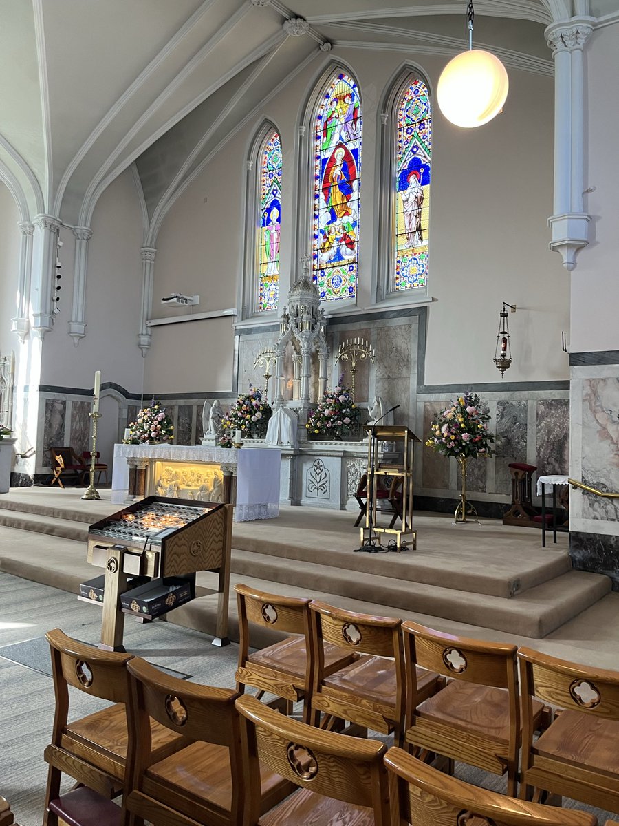 mist🇮🇪🍩 tweet media