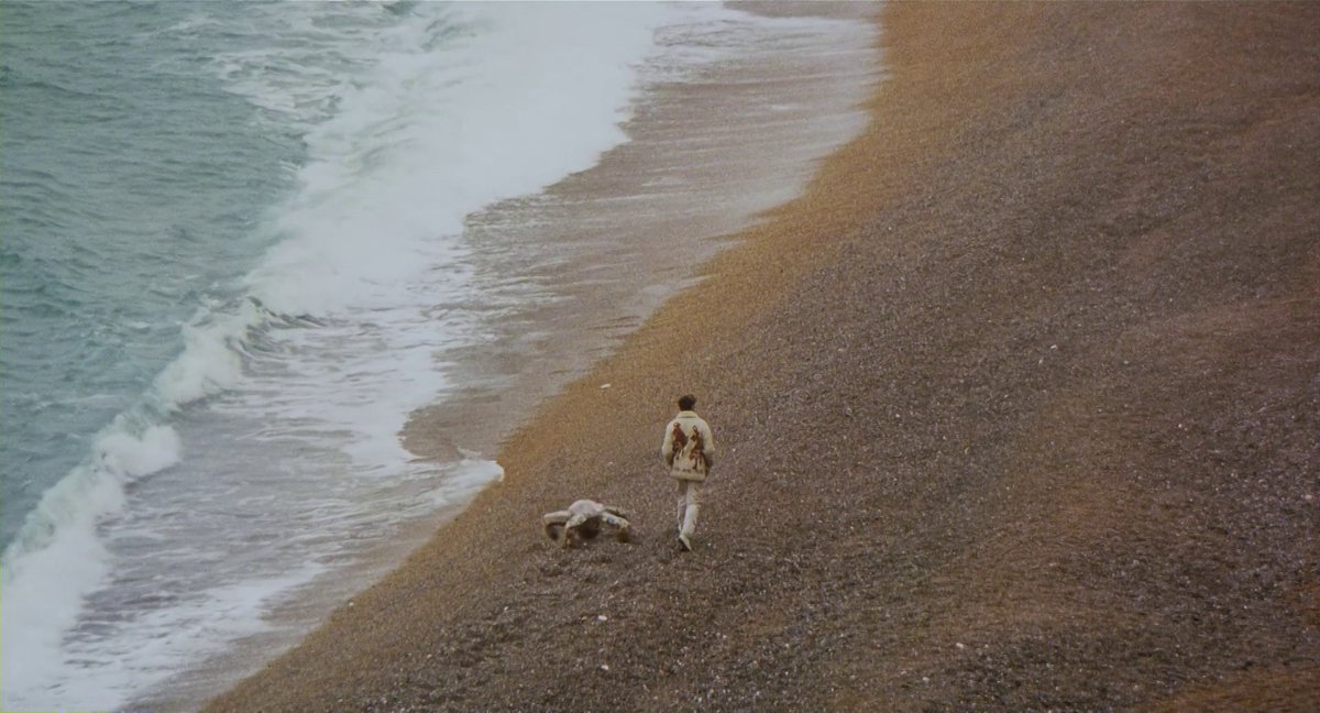 cinemoments tweet media