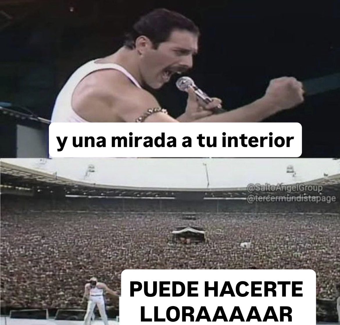 delfi ☀︎ LEJOS DEL SOL EN VELEZ tweet media