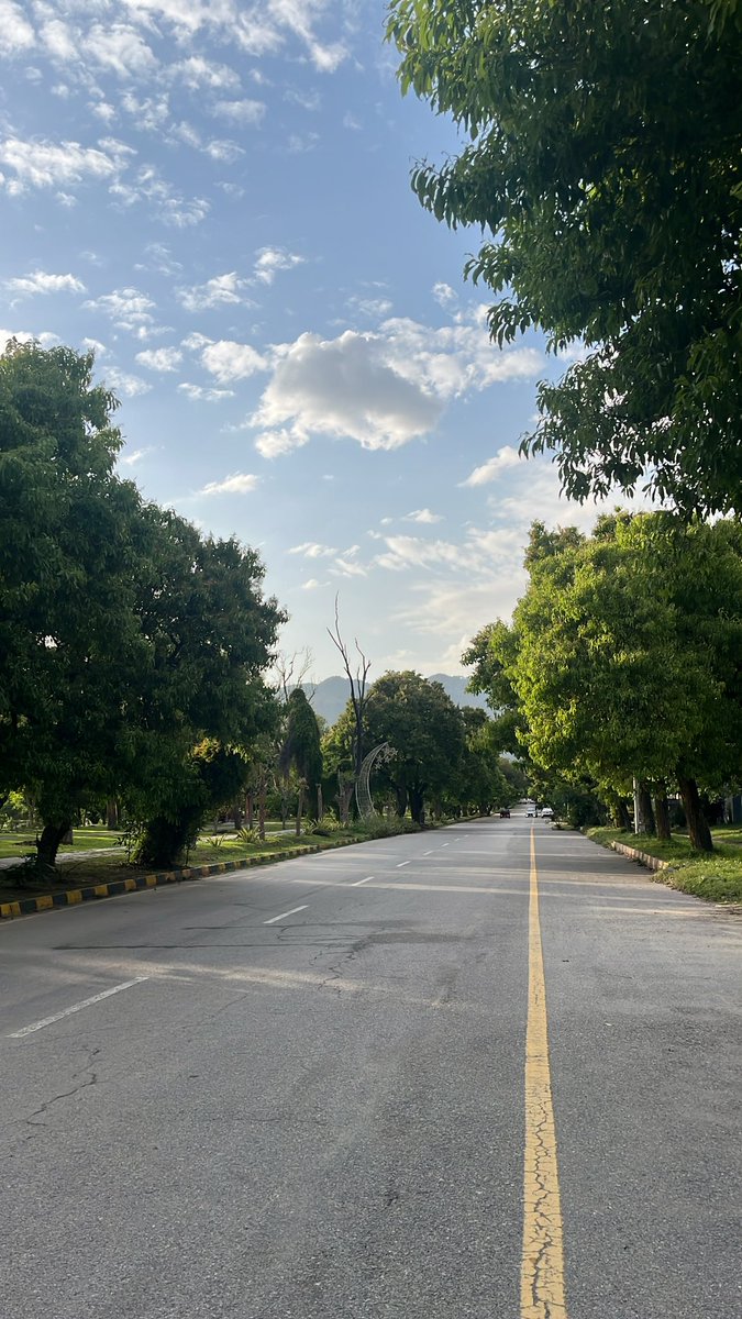 Afke Bootsman tweet media