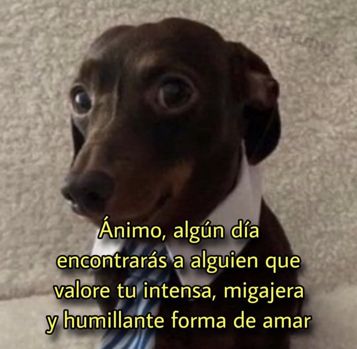 CochilocaPasos tweet media