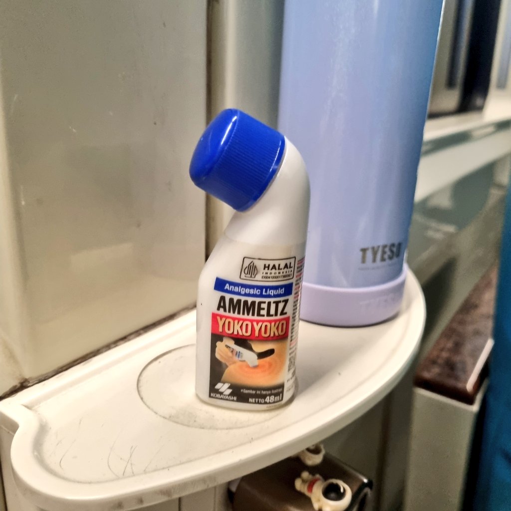 kina🌳🦋 tweet media