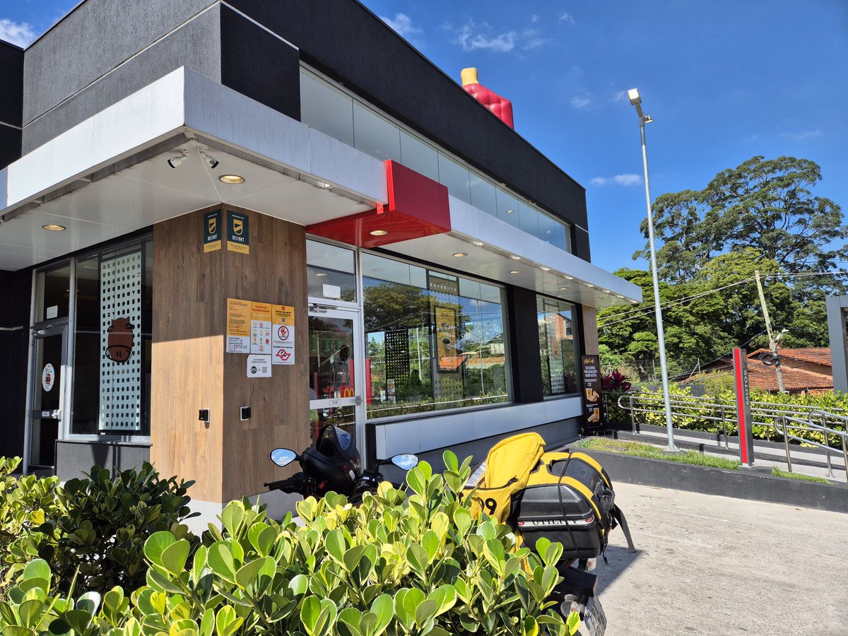 Frankito, o Curioso® tweet media