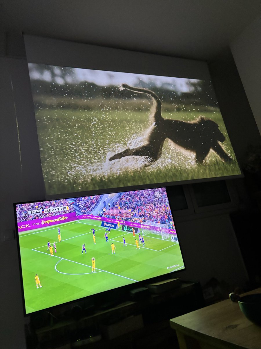 Màrius Catafal tweet media