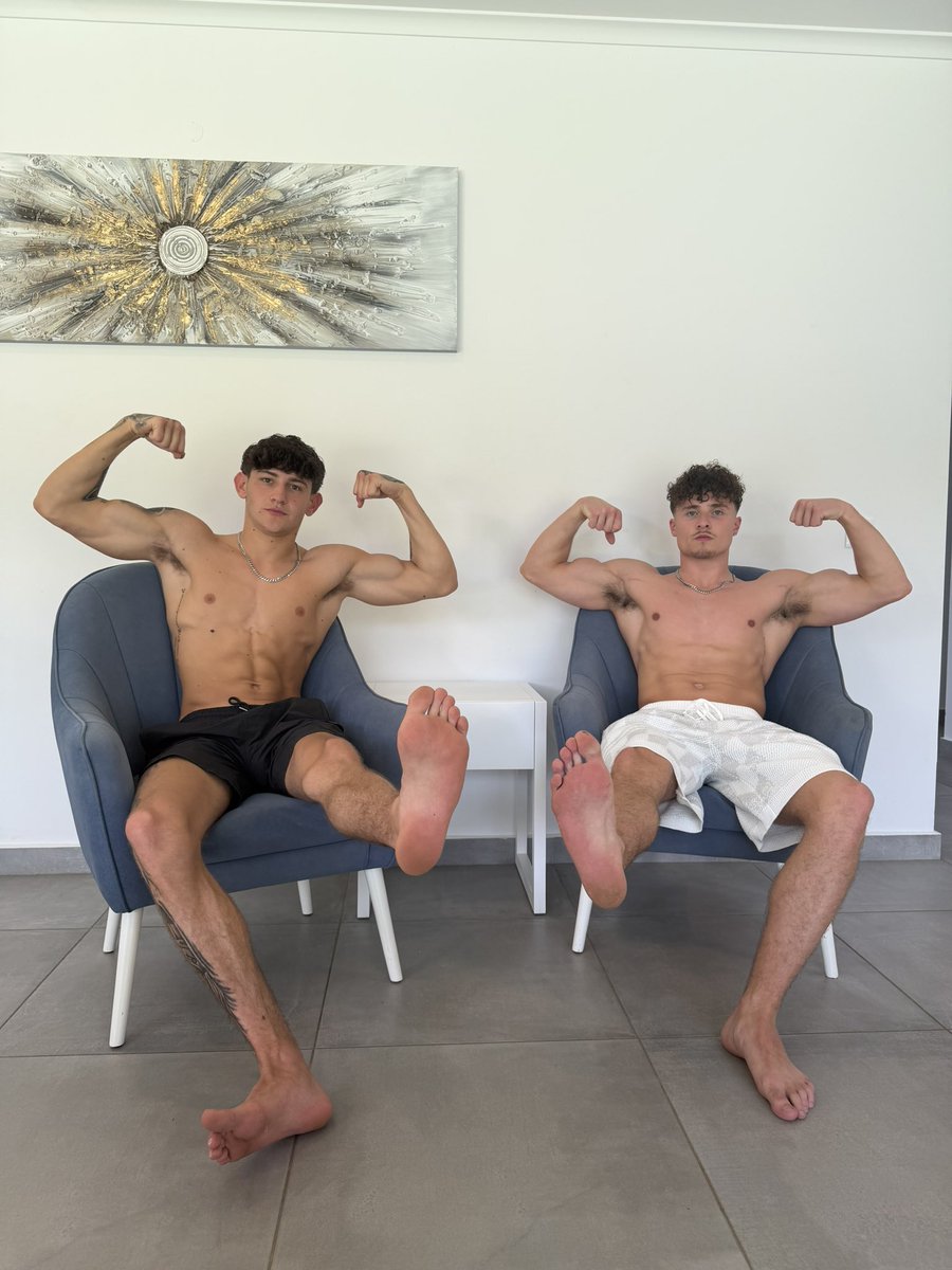 Master Dylan tweet media