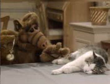 mkowa1's tweet image. "Liebe #Wind-und-#Solar-Fanatiker: Das was ihr da gerade mit allen Sinnen erlebt, ist nicht wahr! Ihr dürft euren Wahrnehmungen und eurem Verstand nicht vertrauen!
Ihr müsst UNS vertrauen, die wir euch das #Gas und das #Öl und das gute #Atom weiterhin teuer und dreckig andrehen