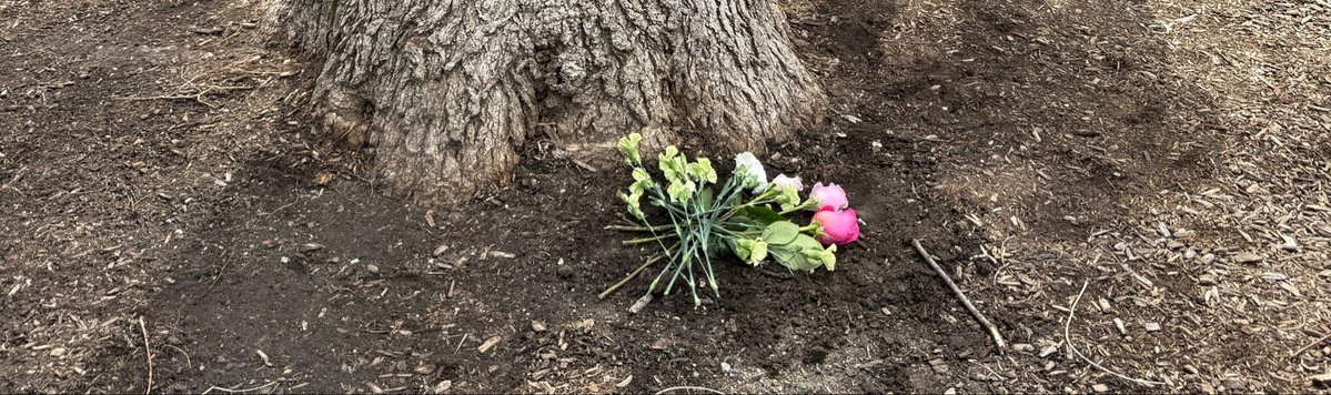 Chairman Birb Bernanke tweet media