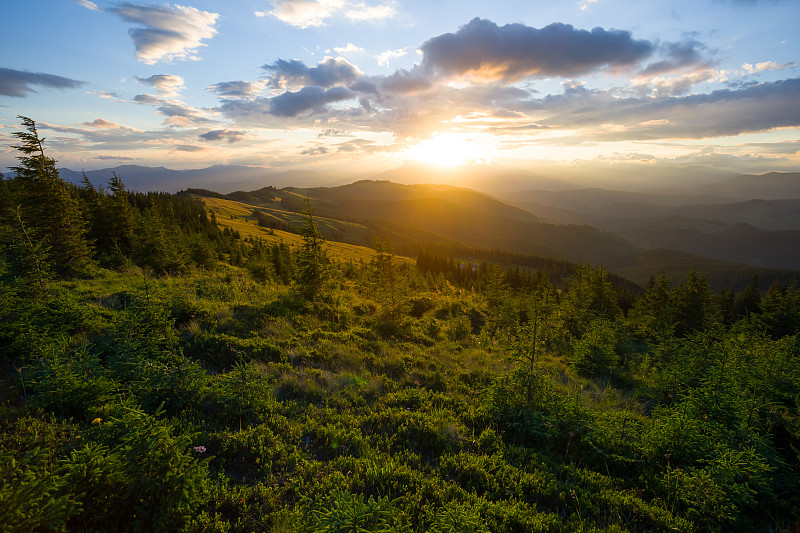 BrendaStroz tweet media