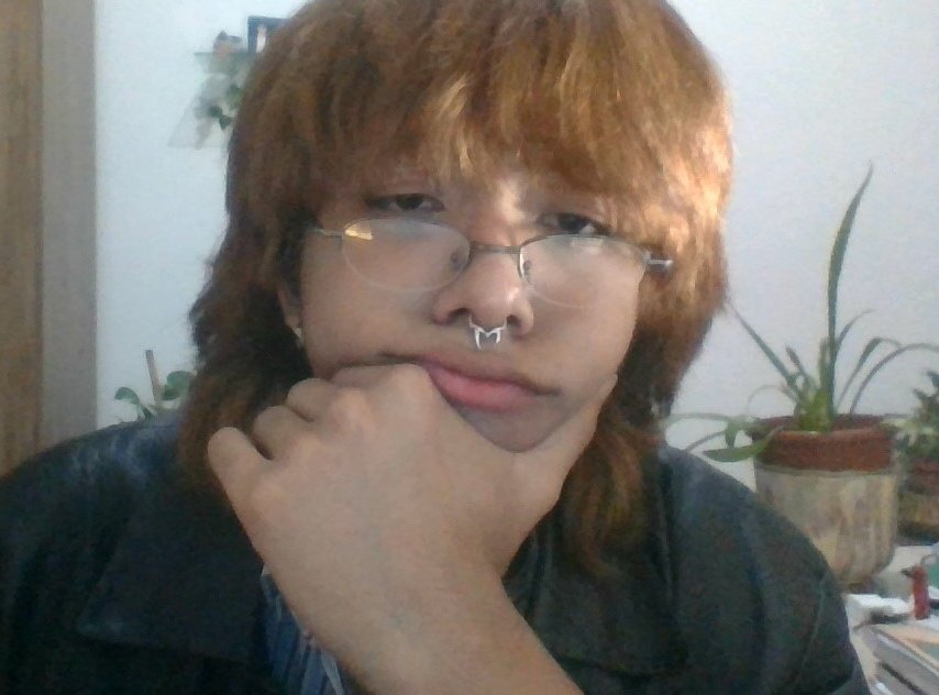 gabu ₊⊹ tweet media