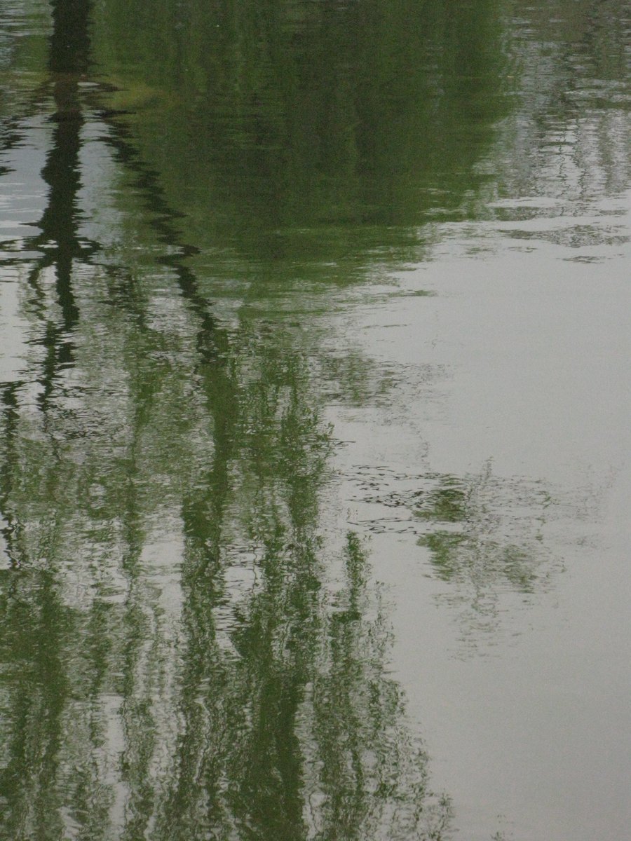 나나무 tweet media