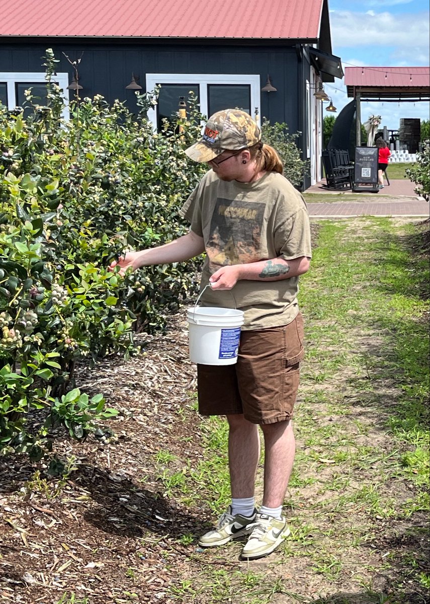 Mutt 𐂯 tweet media