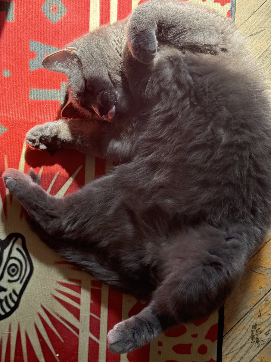 secretwar tweet media