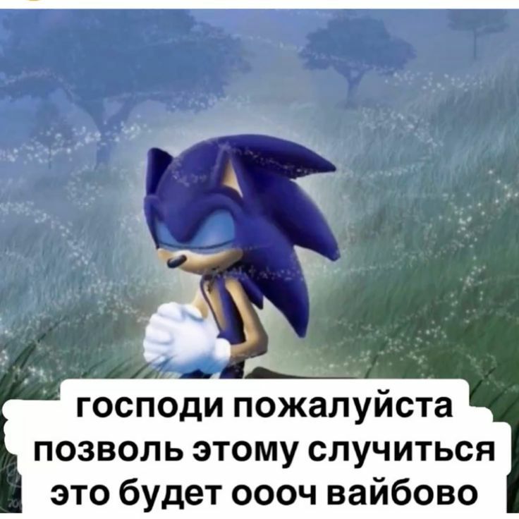 МНЕ НУЖНО БОЛЬШЕ ВЗАИМОДЕЙСТВИЯ ЕХО И СКЗ УМОЛЯЮ 😭😭😭😭😭