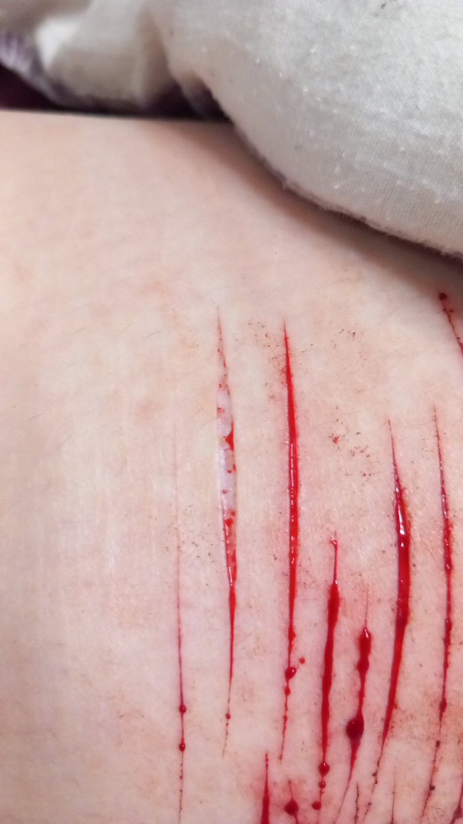 𝒀𝒖𝒓𝒊 𝒐𝒇 𝑺𝒉𝑬𝒅𝑻𝑾𝑻 tweet media