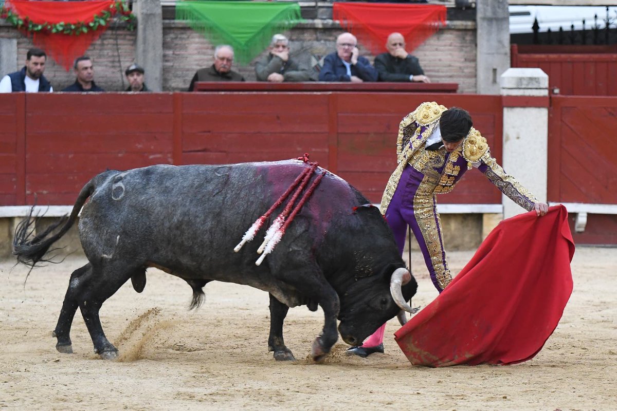 CopaChenel tweet media