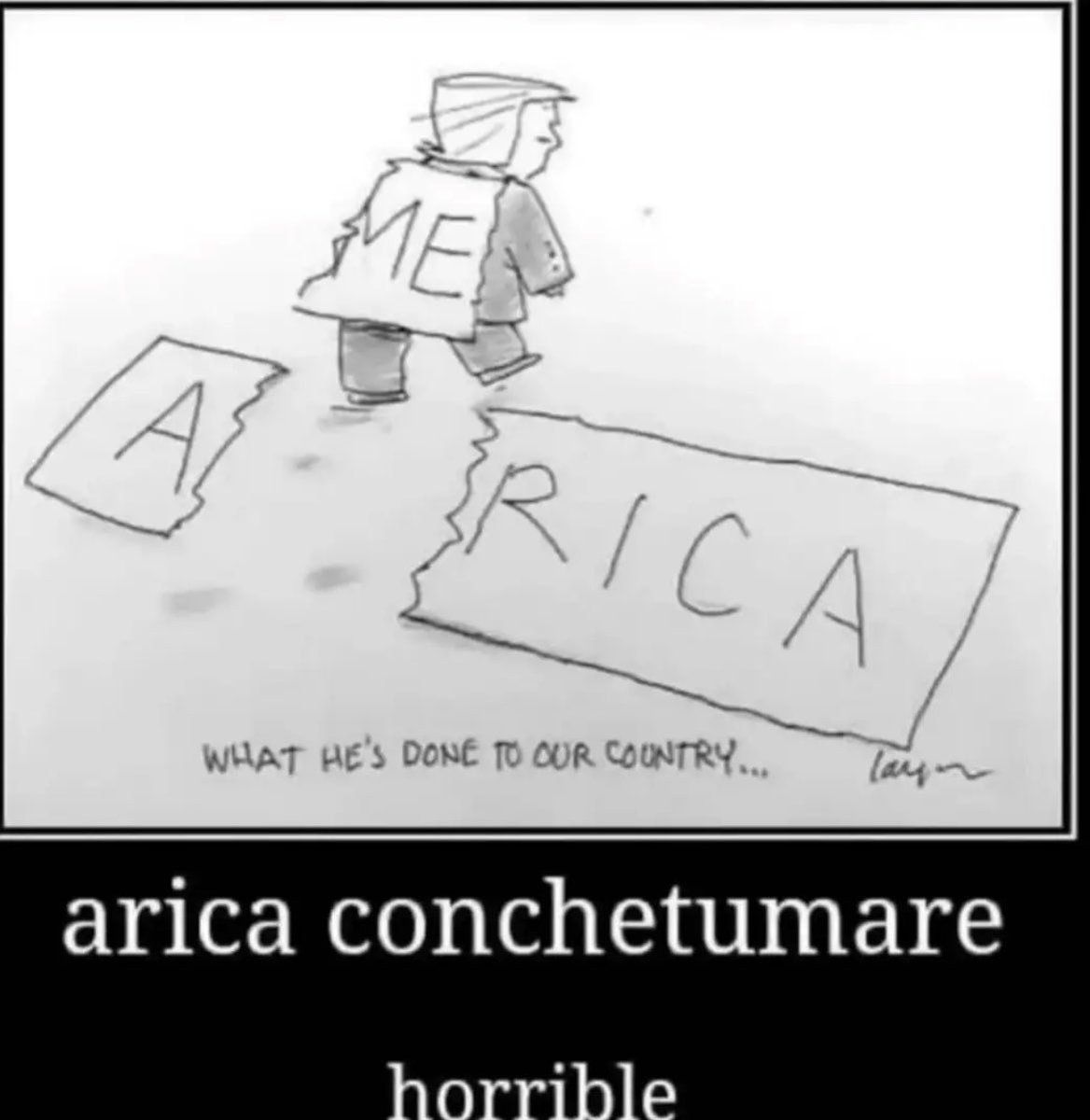 mily 🌼 tweet media