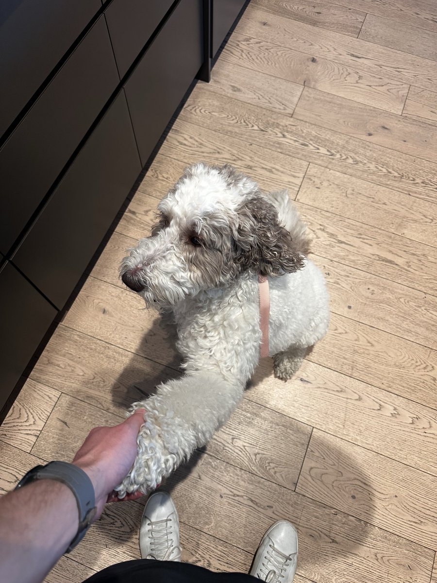 RyanClogg's tweet image. 