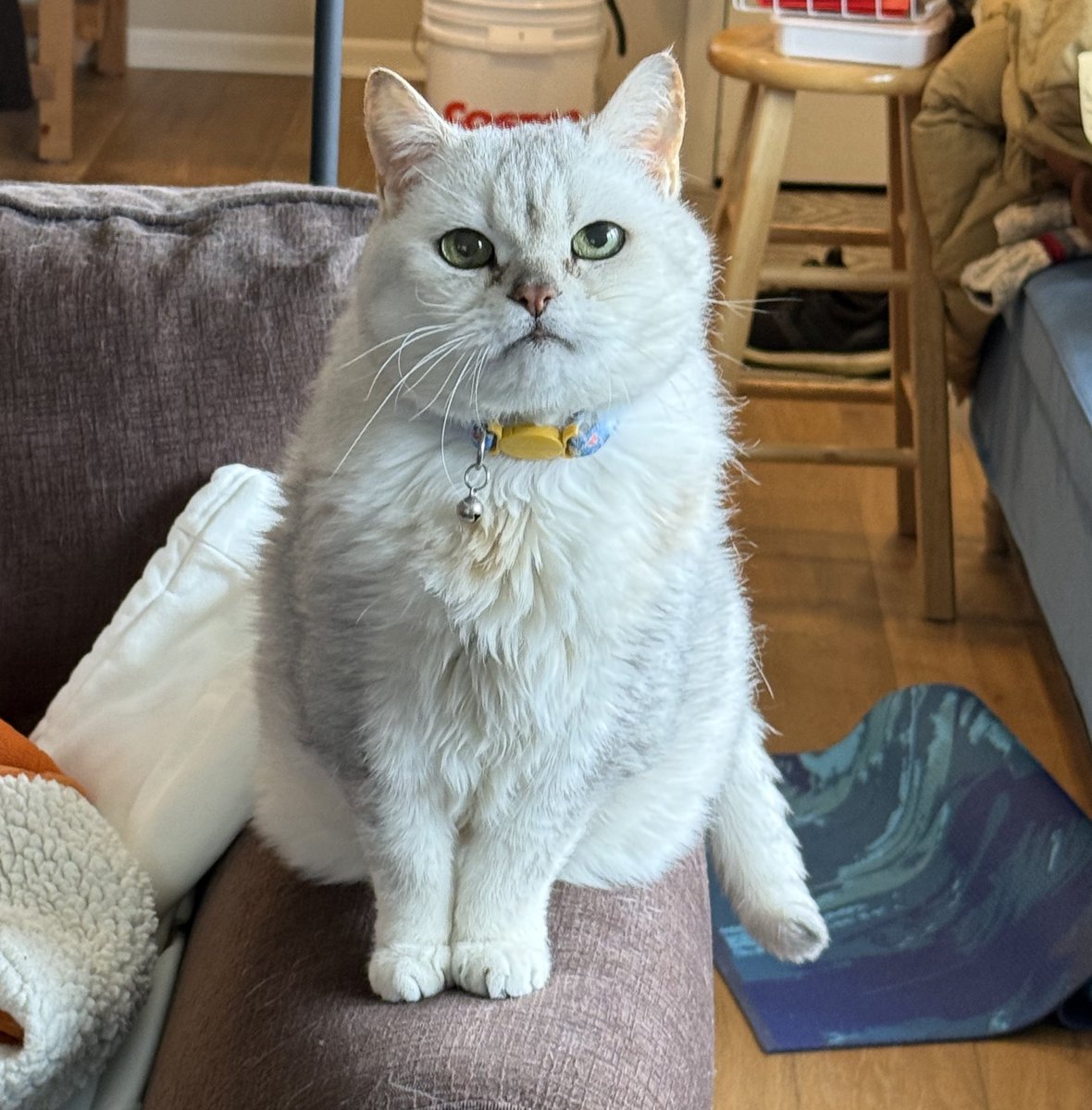 Morgan🎷 tweet media