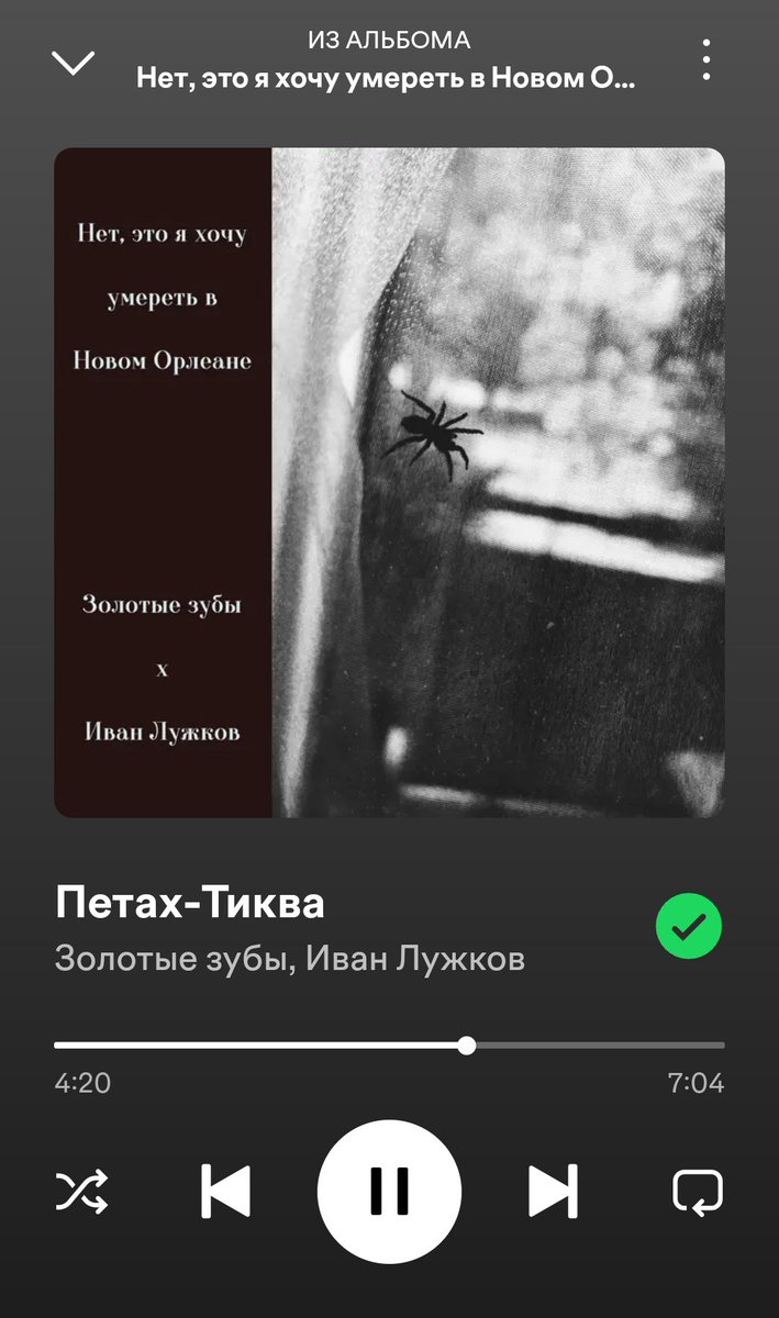 Никита Генералов 🐍 tweet media