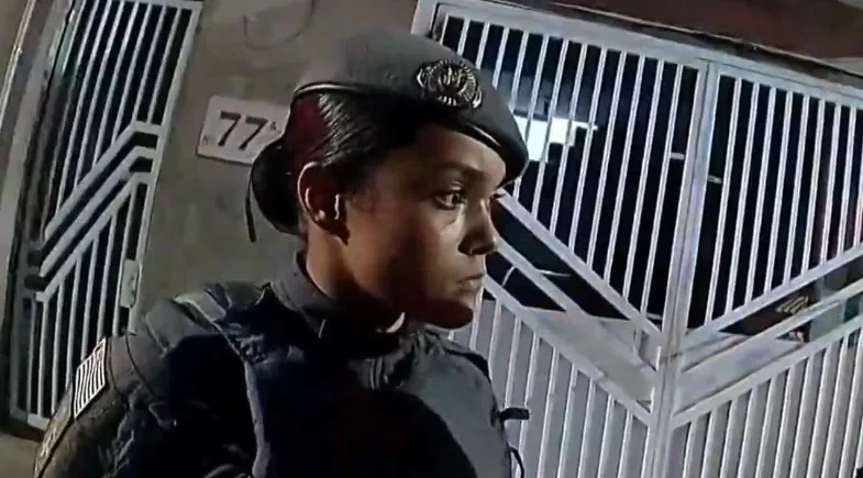 Orestes 🇧🇷 tweet media