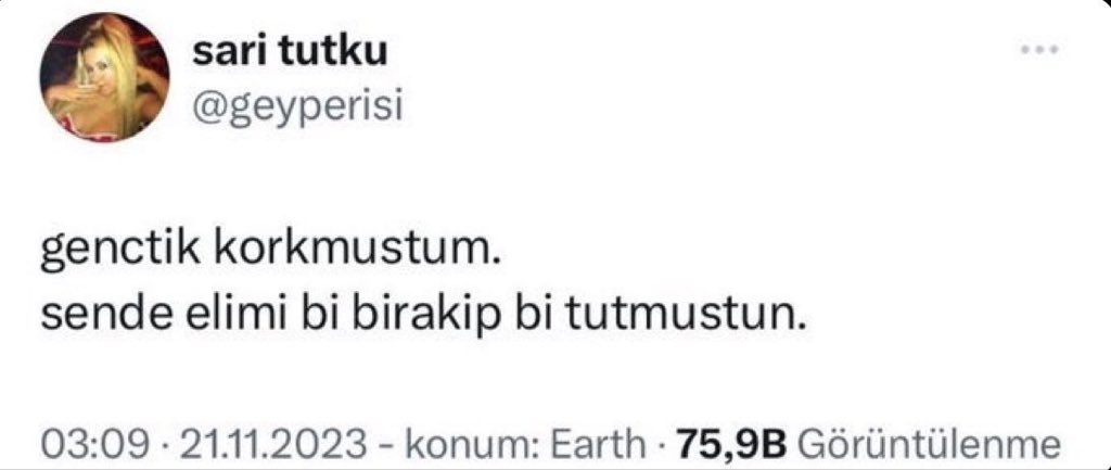 guess terlik tweet media