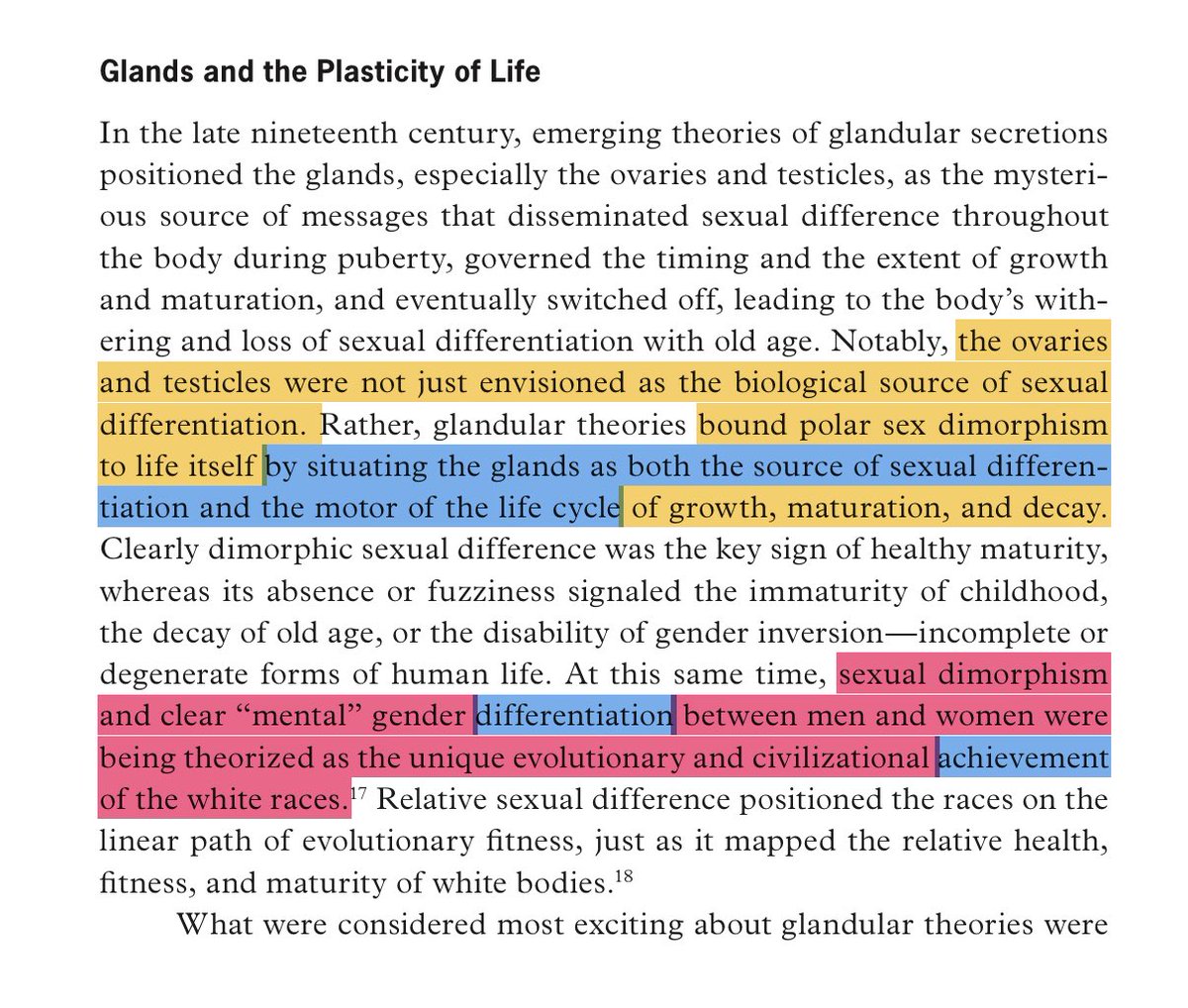 amber ଳ tweet media