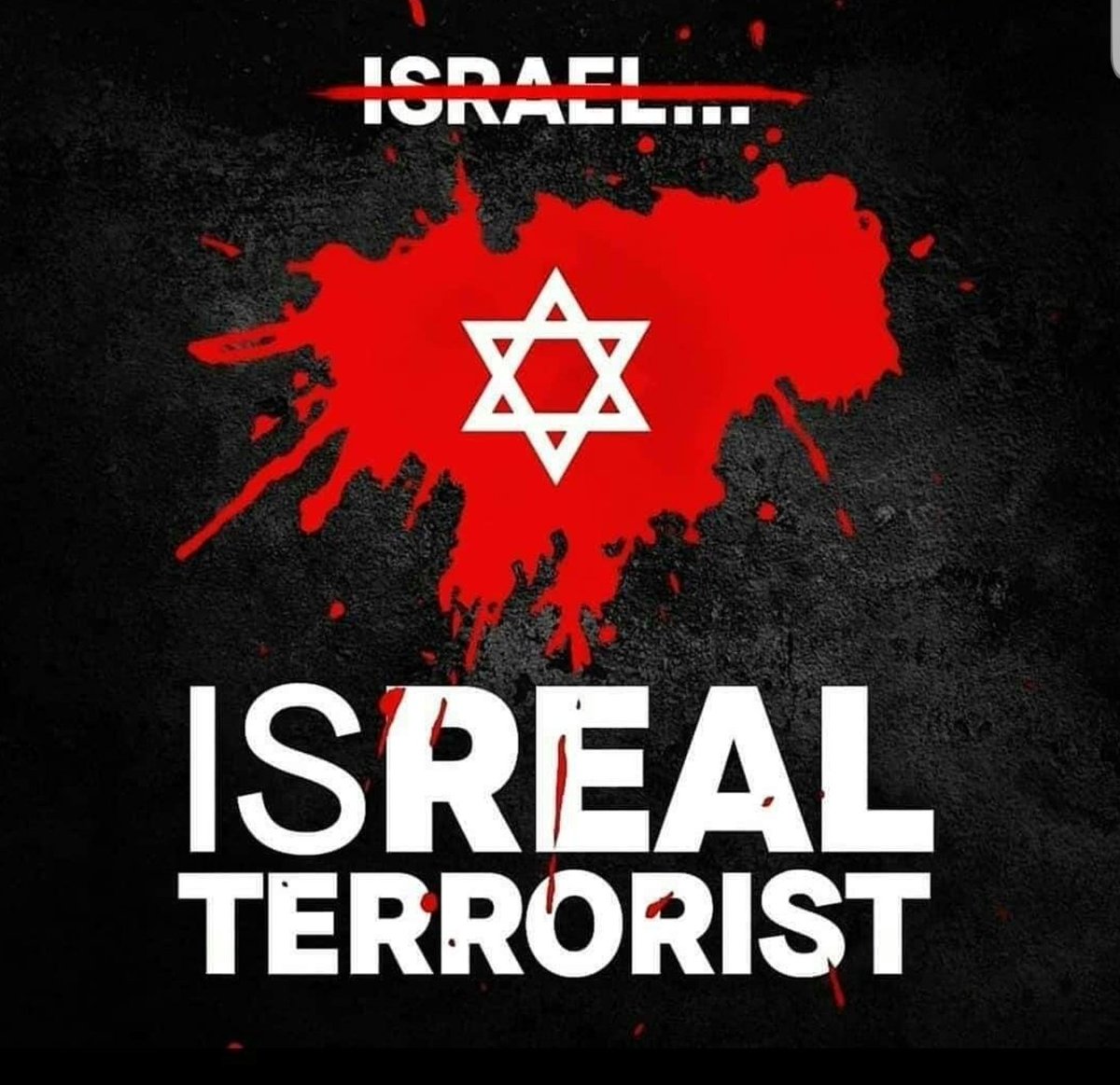 turkuvazhan🇹🇷 tweet media