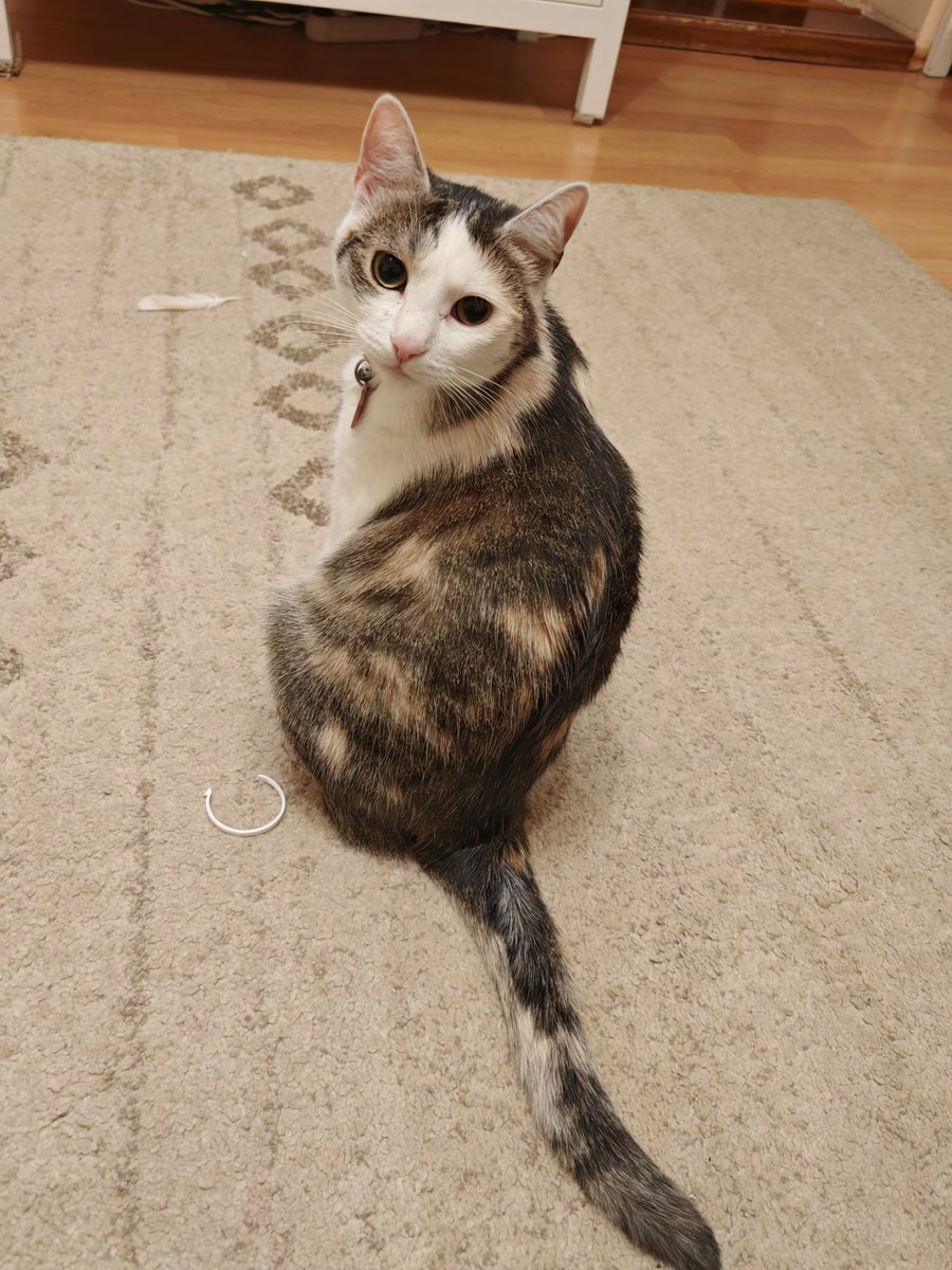 Ateul Satanist⚛𖤐🇪🇺🇺🇦🇬🇪🏳️‍🌈⸸ tweet media