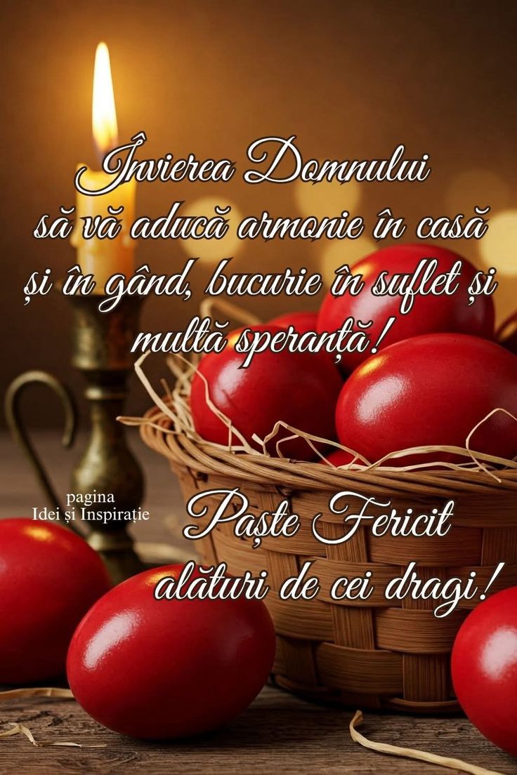 Neacșu Marian tweet media