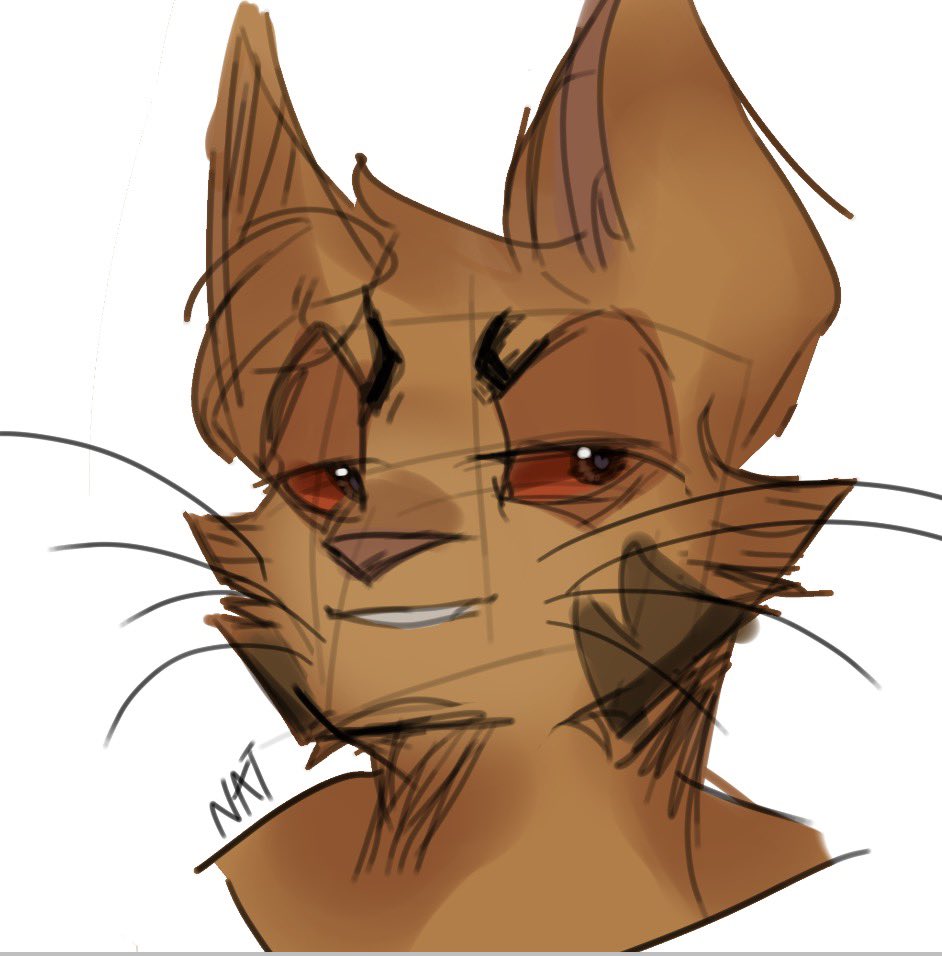 NAT 🦎🌹 tweet media