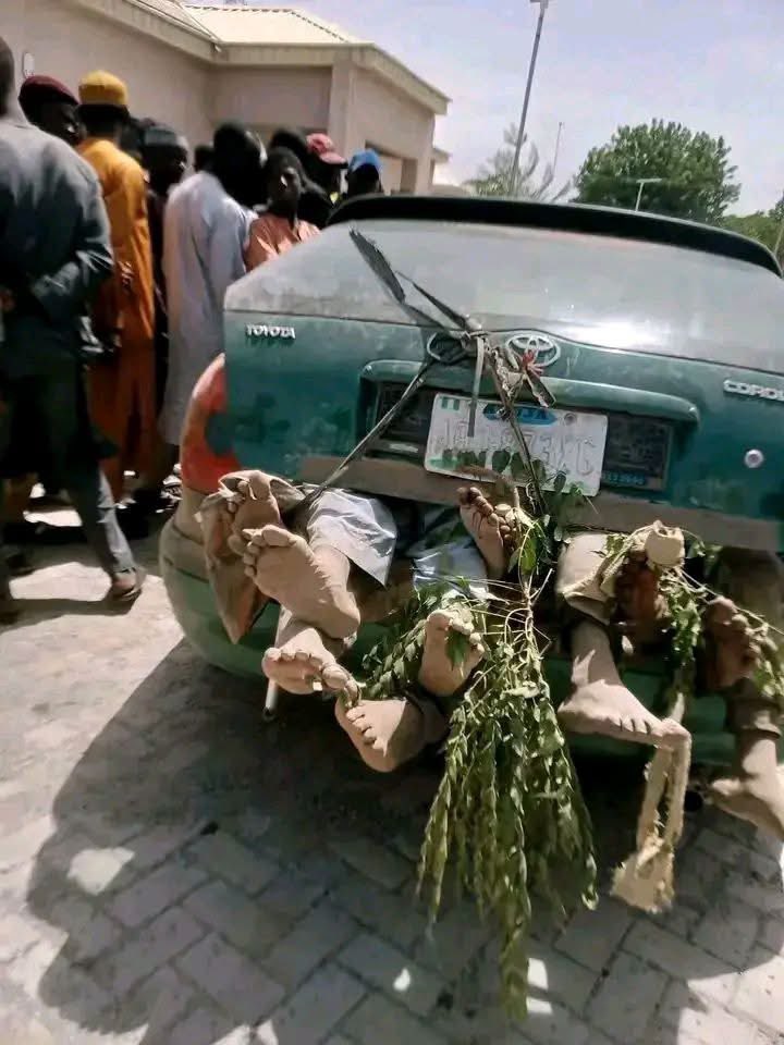 Idris4Peace tweet media