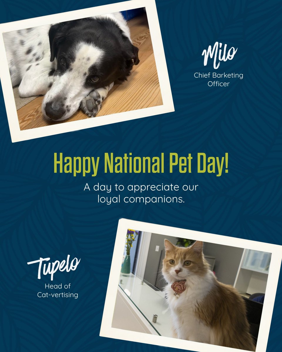 KeriganMktg's tweet image. A little appreciation for the pets who make every day better. Happy National Pet Day! 🐾 

#NationalPetDay #KMA #SeriousCreativity #MarketingAgency