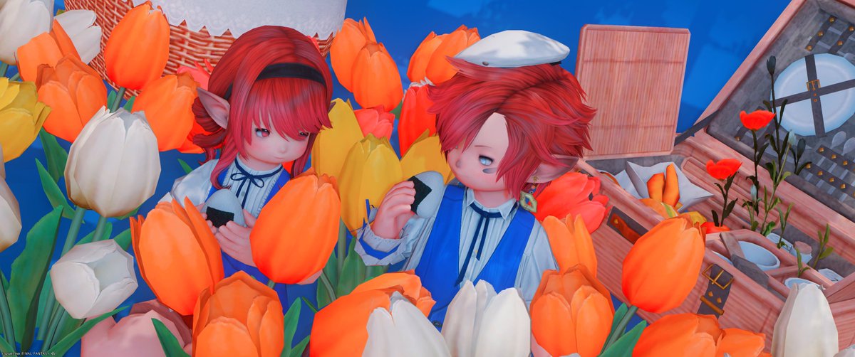 bluthner38085's tweet photo. 𝔾𝕠𝕠𝕕 𝕄𝕠𝕣𝕟𝕚𝕟𝕘🌞
#FF14 #おはララ #みけのおへや #lualove https://t.co/AFBv2iS5o6