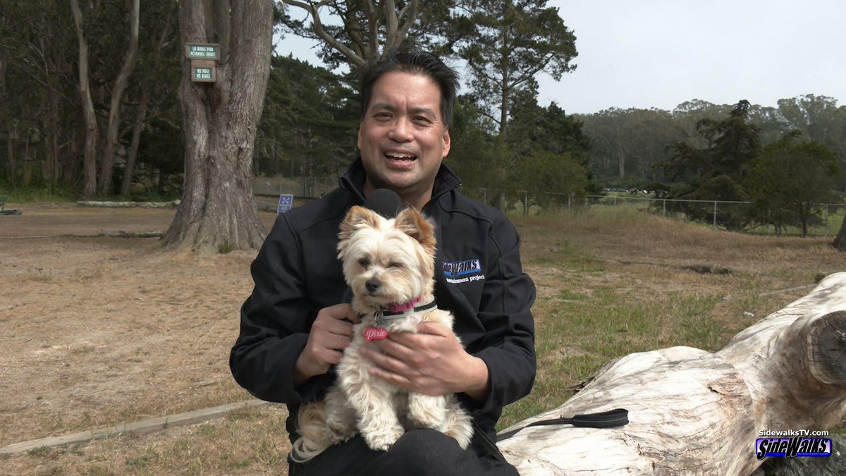 Sidewalks Entertainment TV Show tweet media