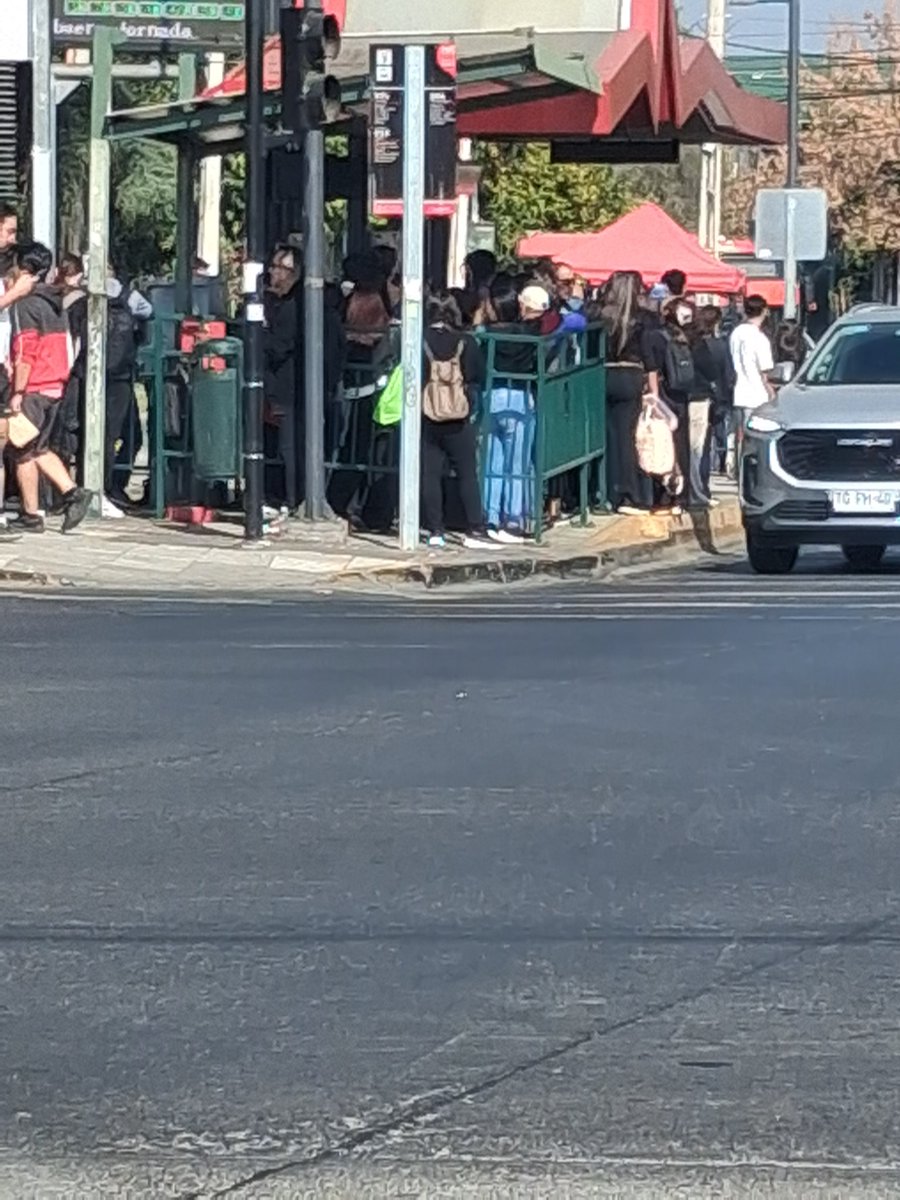 vera yerko tweet media