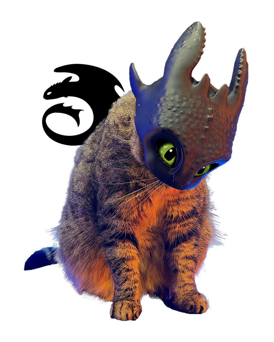 #HowToTrainYourDragon tweet media