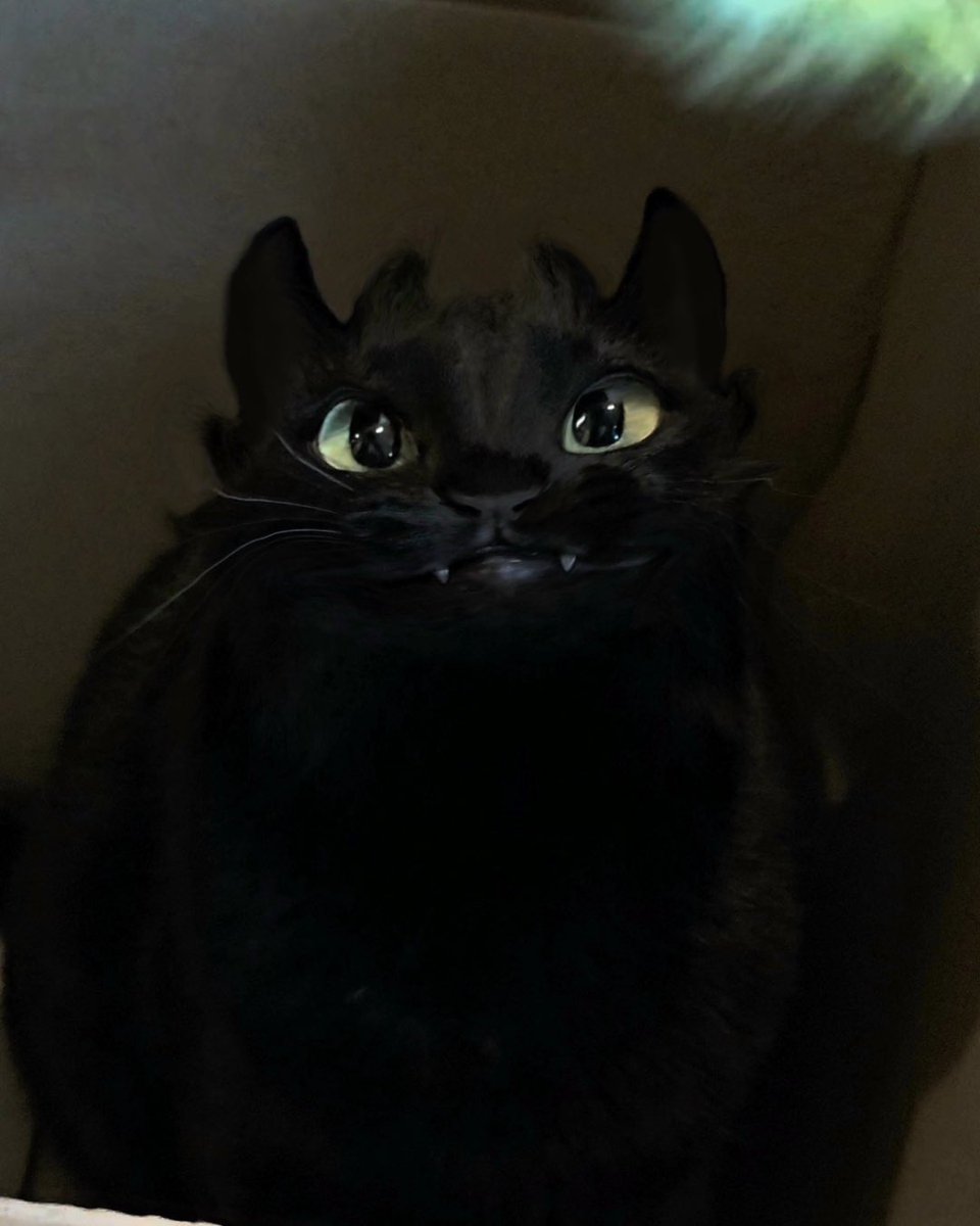 #HowToTrainYourDragon tweet media