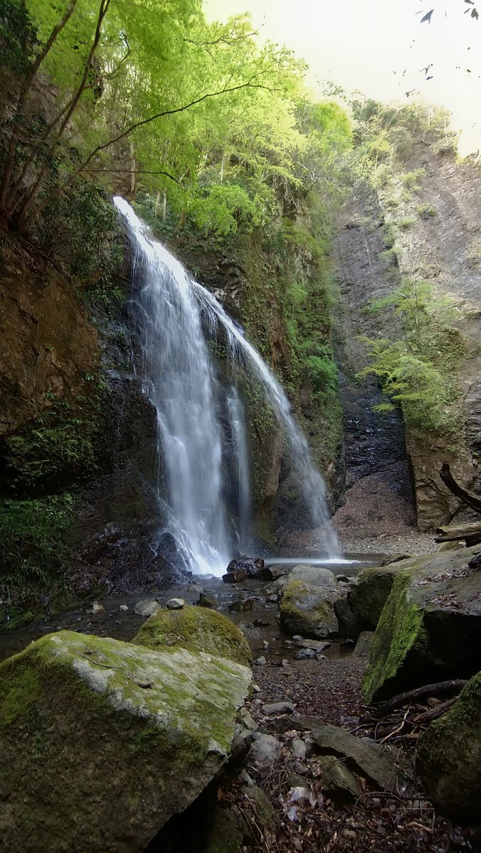 ソロキャン仙人🏕️ソロ仙 tweet media