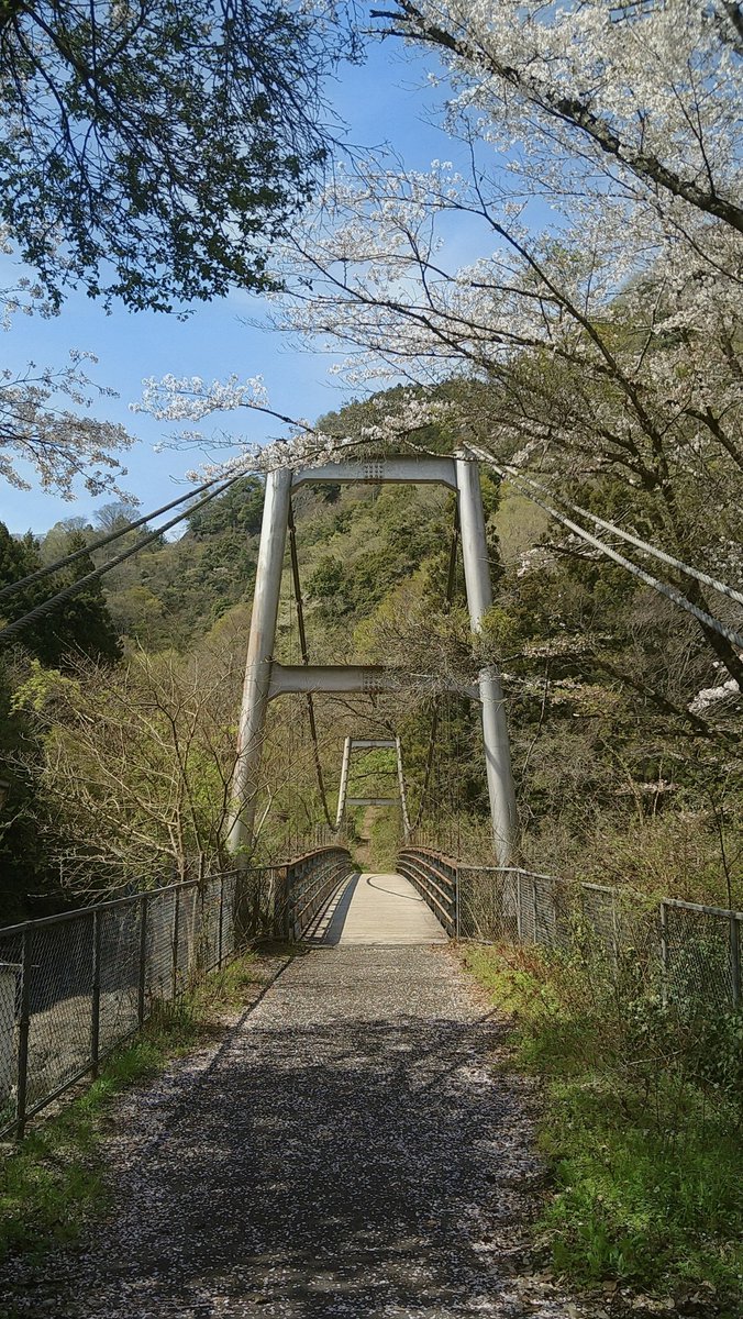 ソロキャン仙人🏕️ソロ仙 tweet media