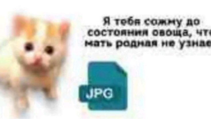 chern 🍭 tweet media