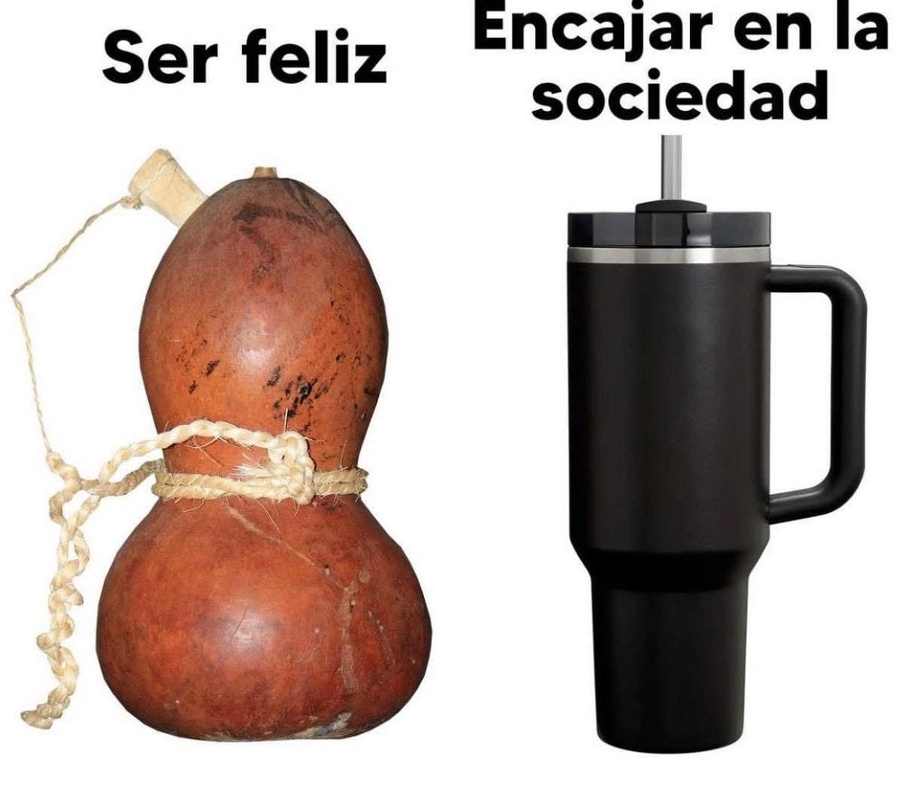 MsCiencia2's tweet photo. Real. https://t.co/TtSjDzueyT
