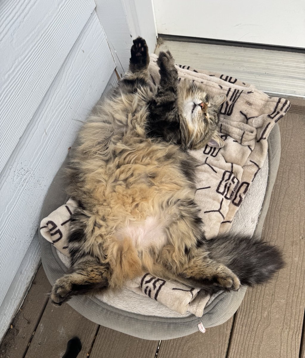 STEPHEN E PEARCY tweet media