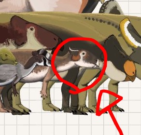 Yan Axel tweet media