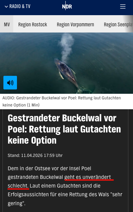 Hard Reset tweet media