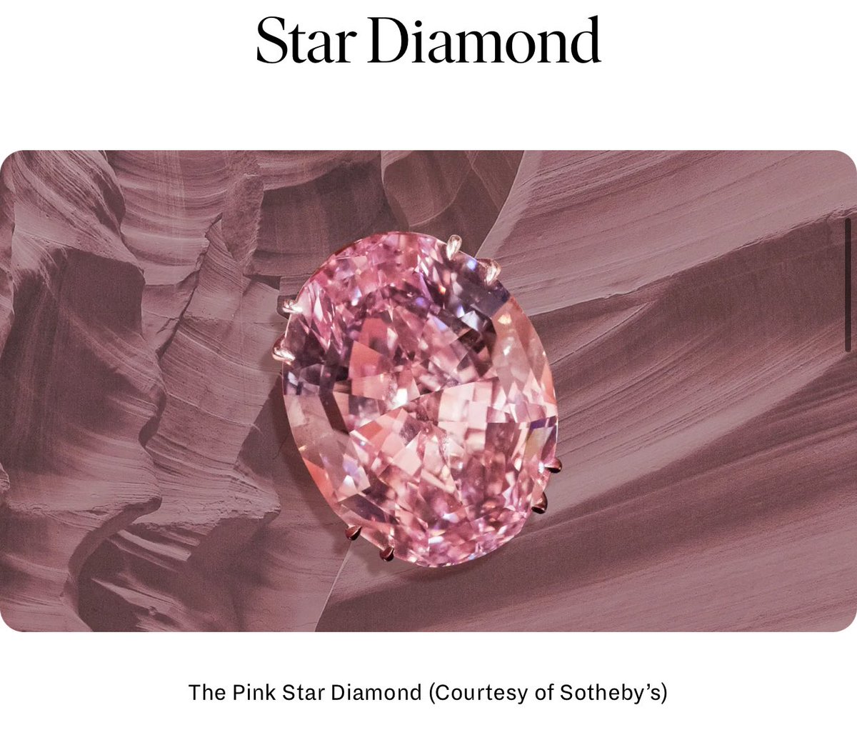 cunt my era is back tweet media